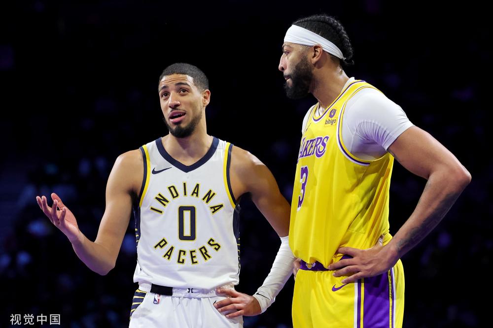 的选择充满 的选择充满